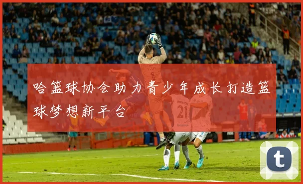 哈篮球协会助力青少年成长打造篮球梦想新平台
